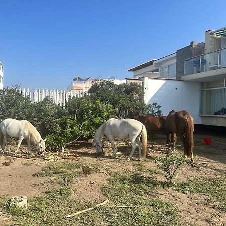 مبيت وإفطار آسيا Yolo House Peru المظهر الخارجي الصورة