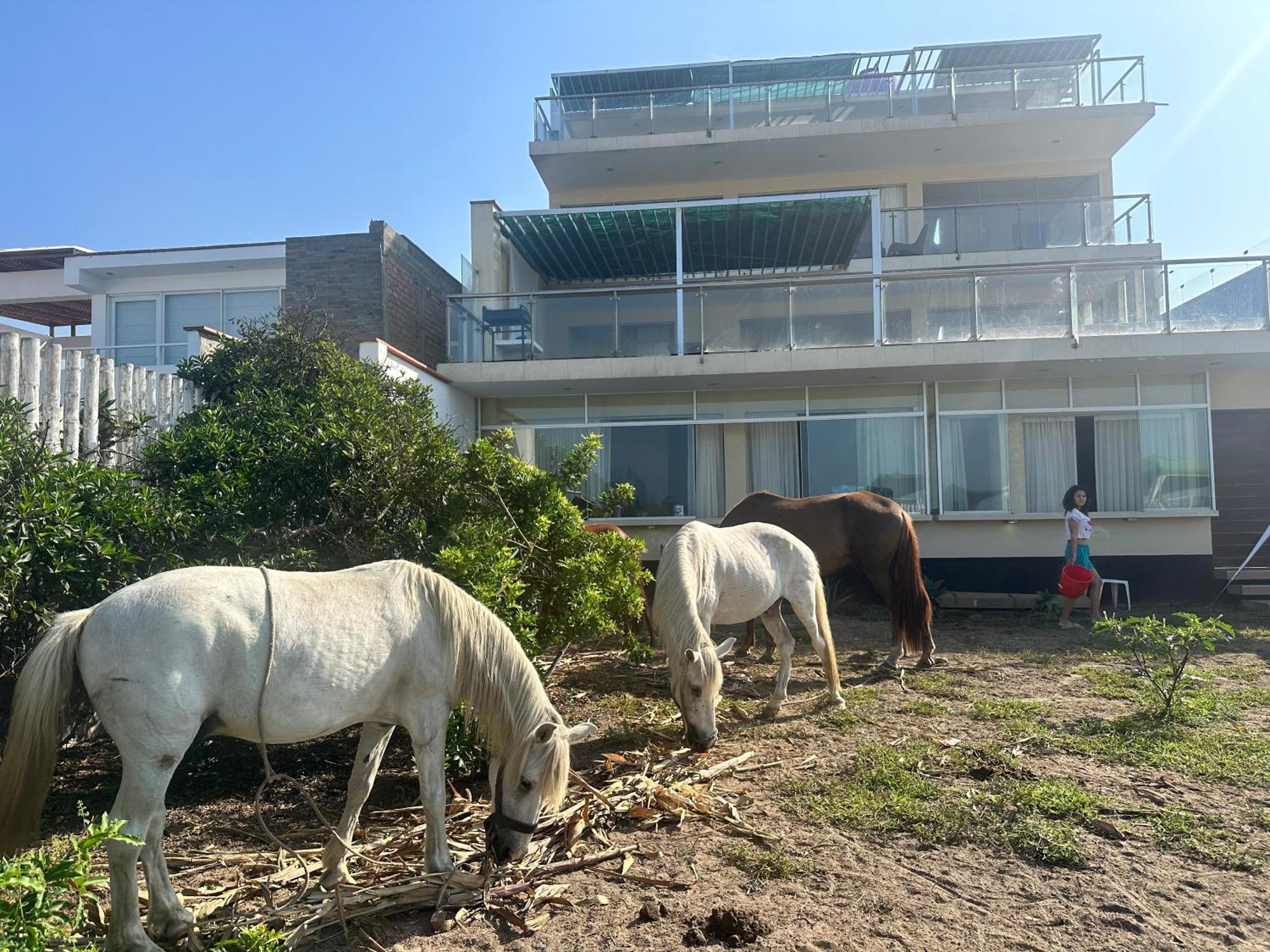 مبيت وإفطار آسيا Yolo House Peru المظهر الخارجي الصورة