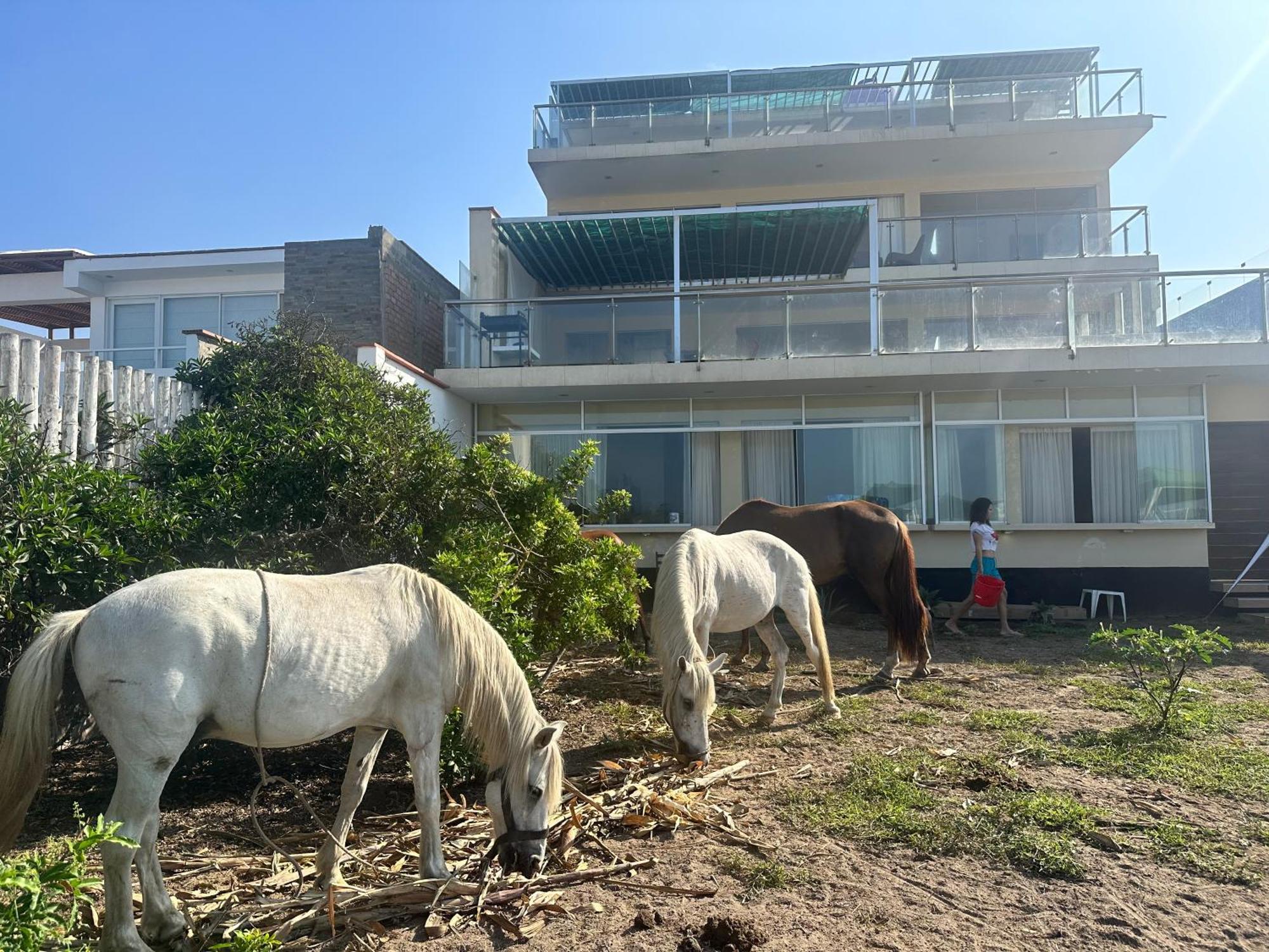 مبيت وإفطار آسيا Yolo House Peru المظهر الخارجي الصورة